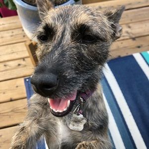 Meet your Posher, Ruby